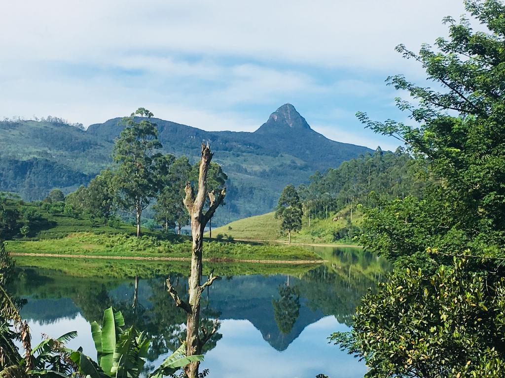 Butterfly Mountain Lake Side Maskeliya Eksteriør bilde
